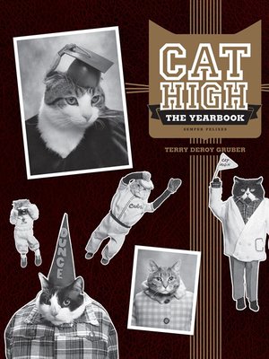 Cat High - ebook